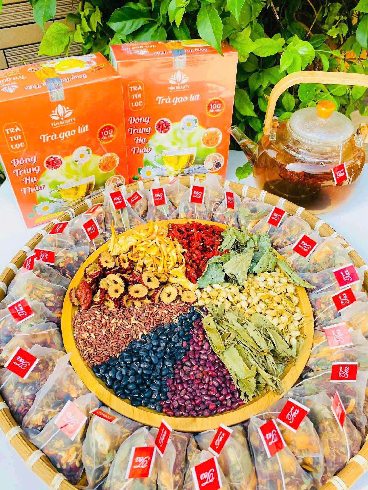 TRÀ GẠO LỨT ĐÔNG TRÙNG HẠ THẢO