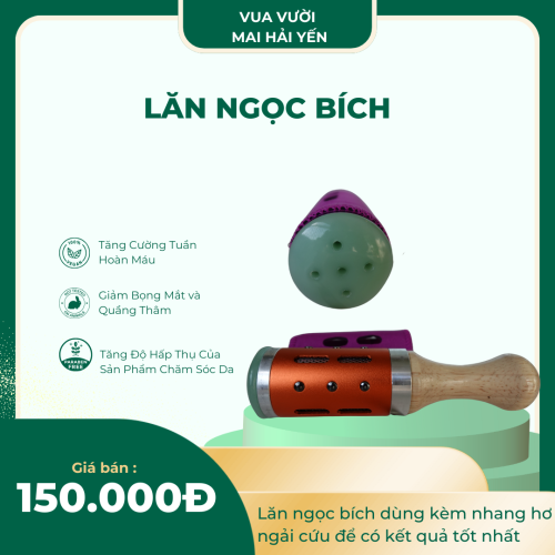 Cây lăn ngải ngọc bích
